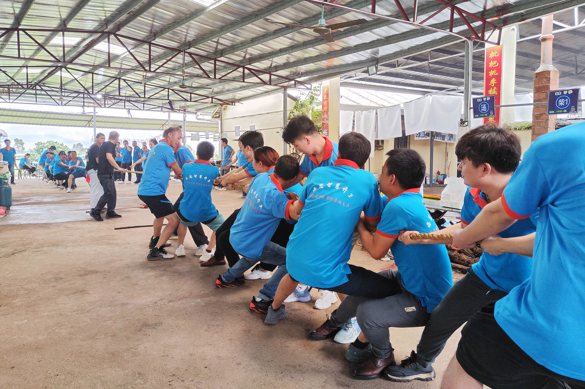 威九国际·V9(中国)最新官方网站